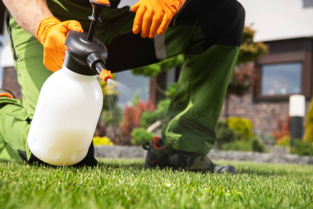 Best Residential Pest Control  in Kingfisher, OK