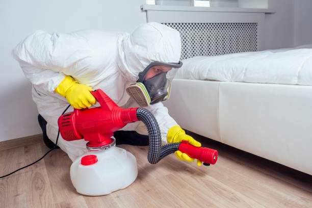 Best Flea Control Services  in Kingfisher, OK