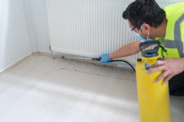 Best Pest Inspection Near Me  in Kingfisher, OK