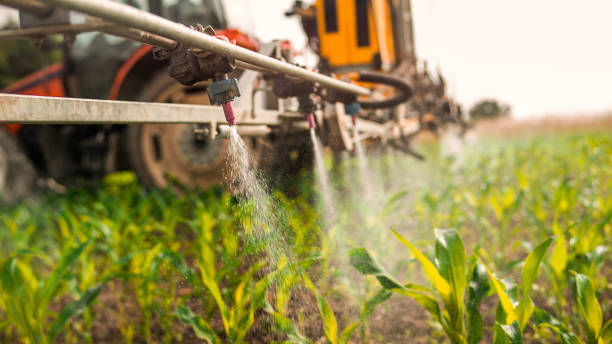 Best Pest Prevention Services  in Kingfisher, OK